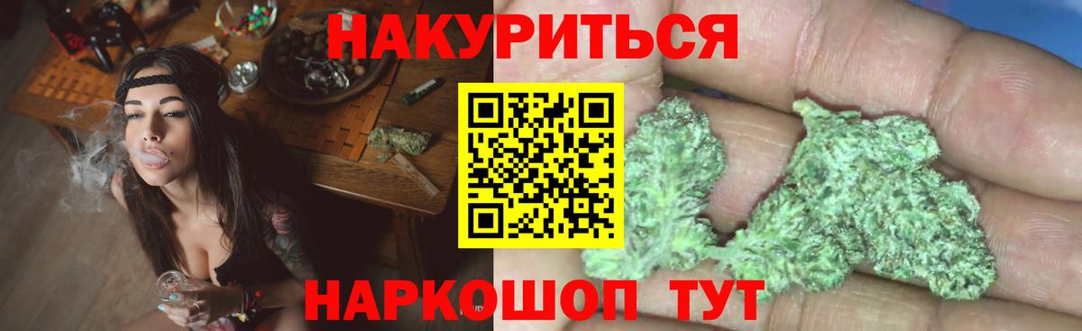 Бошки Шишки планчик Губкин